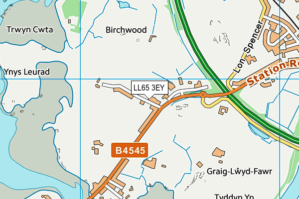 LL65 3EY map - OS VectorMap District (Ordnance Survey)