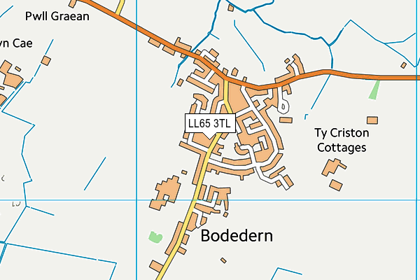 Ysgol Gynradd Bodedern map (LL65 3TL) - OS VectorMap District (Ordnance Survey)