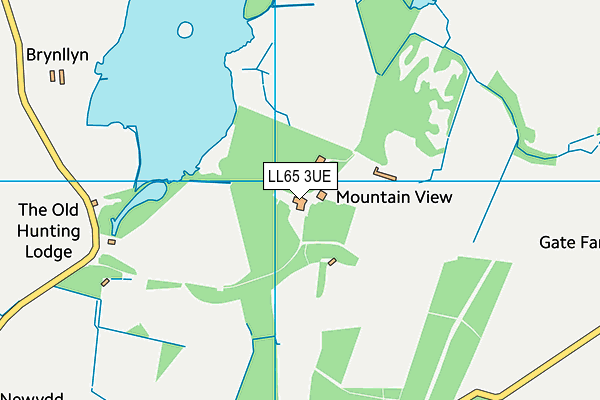 LL65 3UE map - OS VectorMap District (Ordnance Survey)
