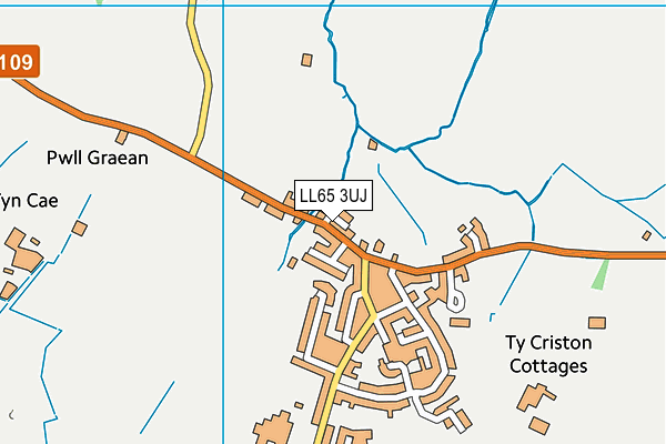 LL65 3UJ map - OS VectorMap District (Ordnance Survey)