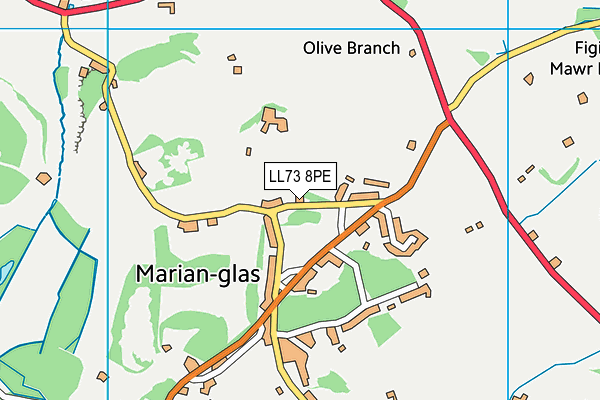 LL73 8PE map - OS VectorMap District (Ordnance Survey)