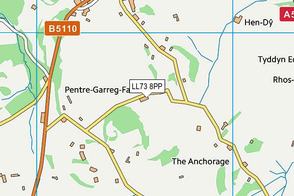 LL73 8PP map - OS VectorMap District (Ordnance Survey)