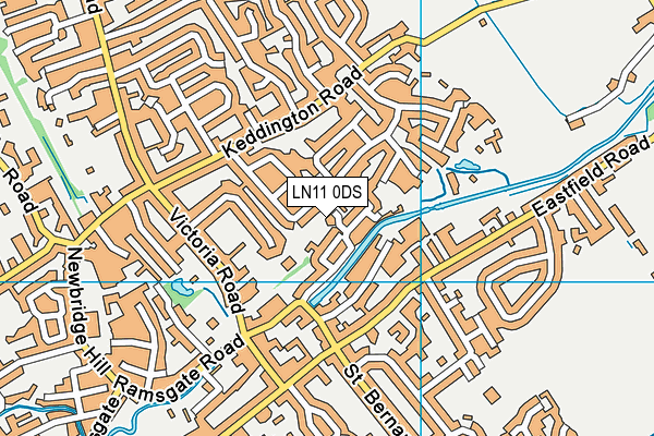 LN11 0DS map - OS VectorMap District (Ordnance Survey)