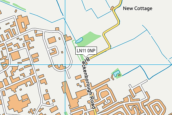 LN11 0NP map - OS VectorMap District (Ordnance Survey)