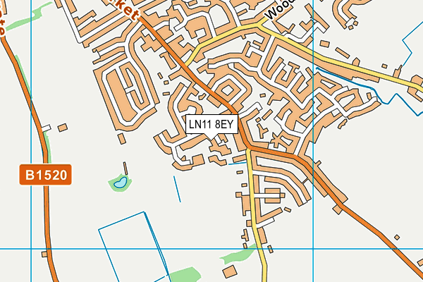 LN11 8EY map - OS VectorMap District (Ordnance Survey)