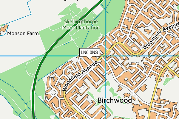LN6 0NS map - OS VectorMap District (Ordnance Survey)