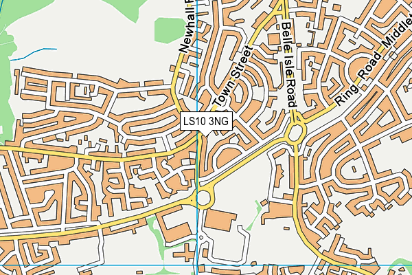 LS10 3NG map - OS VectorMap District (Ordnance Survey)