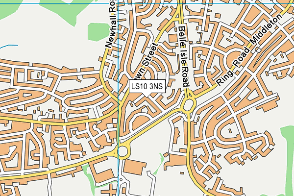LS10 3NS map - OS VectorMap District (Ordnance Survey)