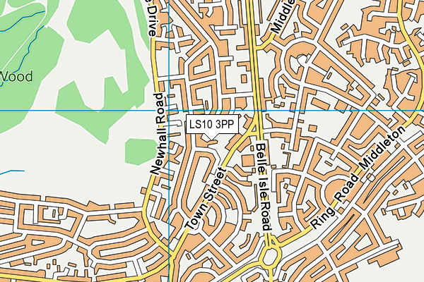LS10 3PP map - OS VectorMap District (Ordnance Survey)