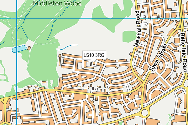 LS10 3RG map - OS VectorMap District (Ordnance Survey)