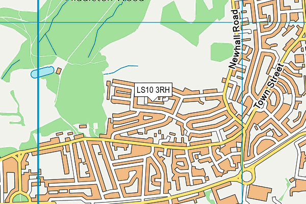 LS10 3RH map - OS VectorMap District (Ordnance Survey)