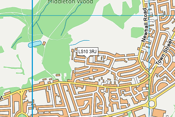 LS10 3RJ map - OS VectorMap District (Ordnance Survey)