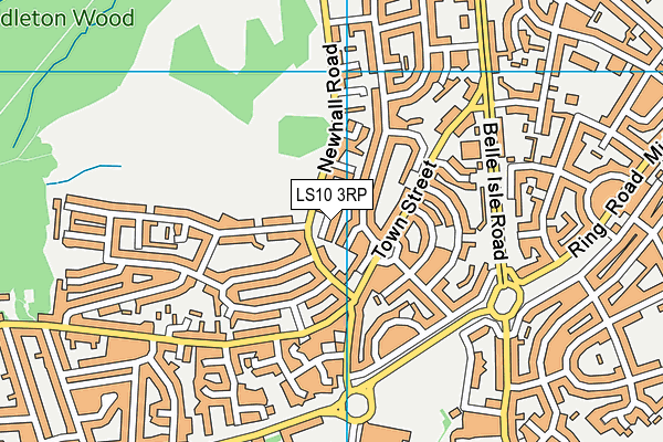LS10 3RP map - OS VectorMap District (Ordnance Survey)