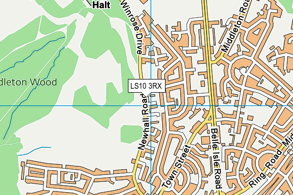 LS10 3RX map - OS VectorMap District (Ordnance Survey)