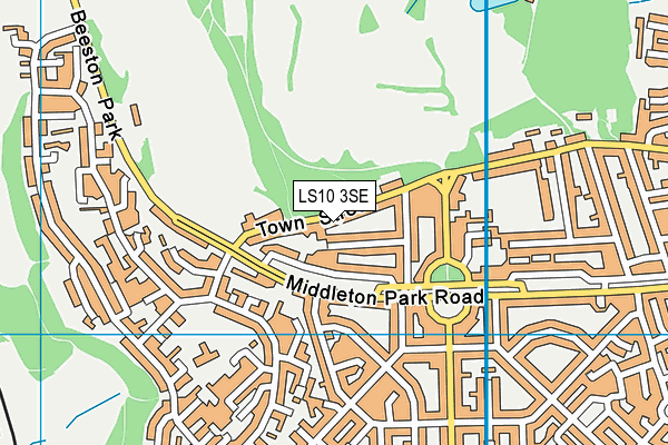 LS10 3SE map - OS VectorMap District (Ordnance Survey)