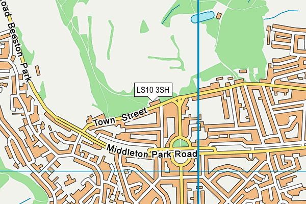 LS10 3SH map - OS VectorMap District (Ordnance Survey)