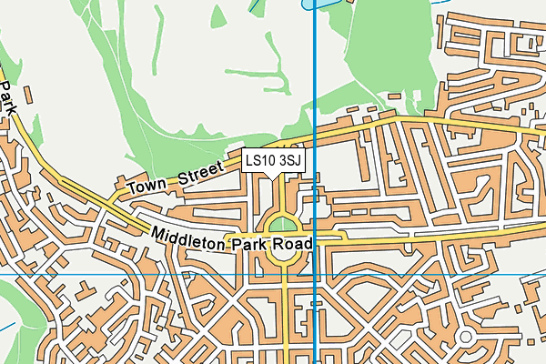 LS10 3SJ map - OS VectorMap District (Ordnance Survey)