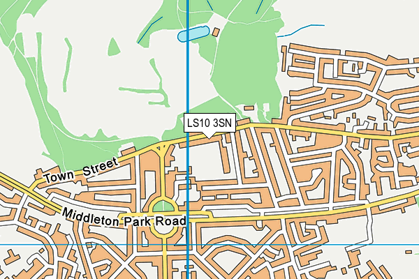 LS10 3SN map - OS VectorMap District (Ordnance Survey)