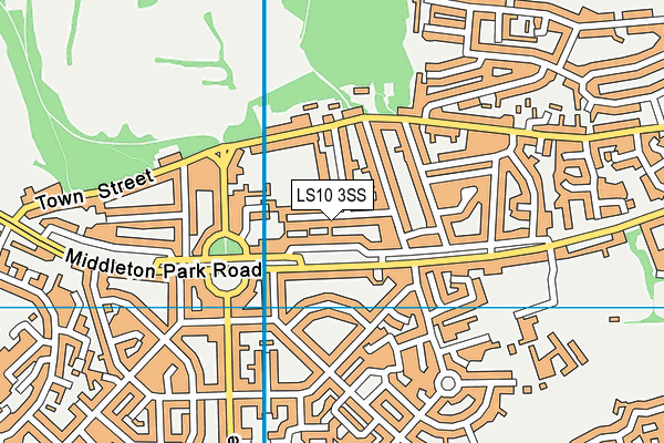 LS10 3SS map - OS VectorMap District (Ordnance Survey)