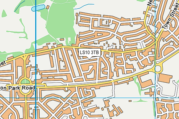 LS10 3TB map - OS VectorMap District (Ordnance Survey)