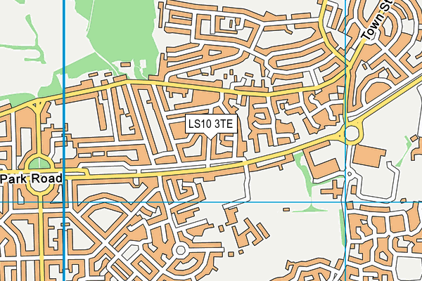 LS10 3TE map - OS VectorMap District (Ordnance Survey)
