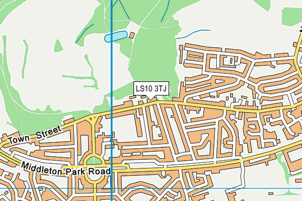 LS10 3TJ map - OS VectorMap District (Ordnance Survey)