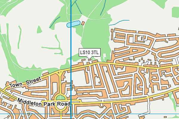 LS10 3TL map - OS VectorMap District (Ordnance Survey)