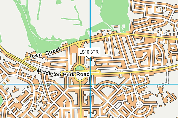 LS10 3TR map - OS VectorMap District (Ordnance Survey)