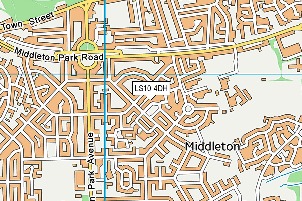 LS10 4DH map - OS VectorMap District (Ordnance Survey)