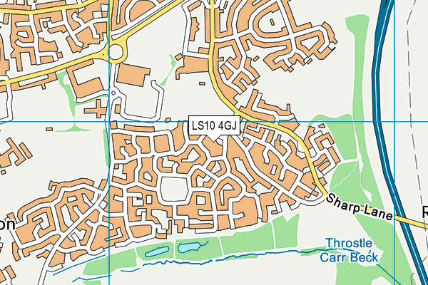 LS10 4GJ map - OS VectorMap District (Ordnance Survey)