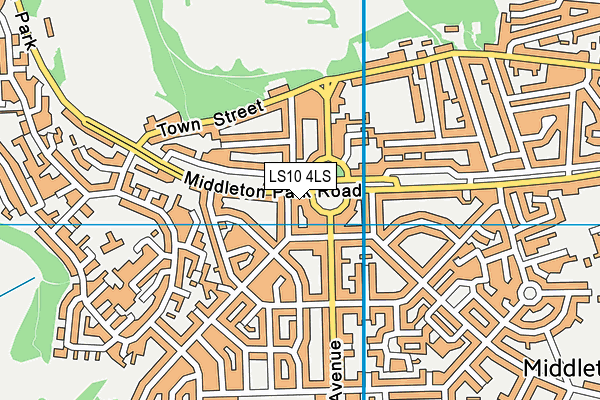 LS10 4LS map - OS VectorMap District (Ordnance Survey)