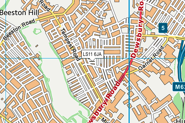 LS11 6JA map - OS VectorMap District (Ordnance Survey)