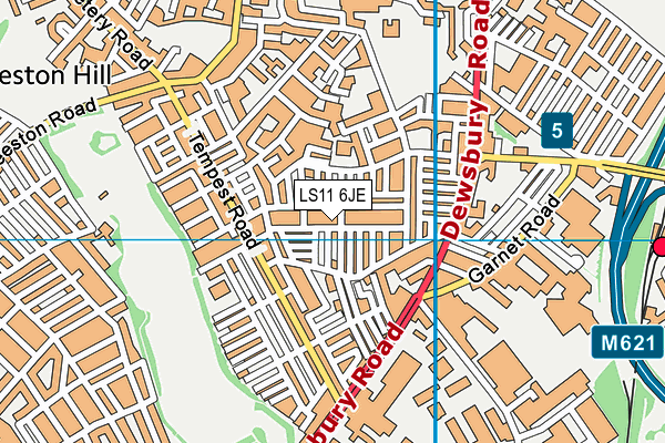 LS11 6JE map - OS VectorMap District (Ordnance Survey)