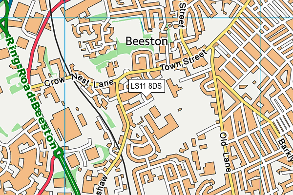 LS11 8DS map - OS VectorMap District (Ordnance Survey)