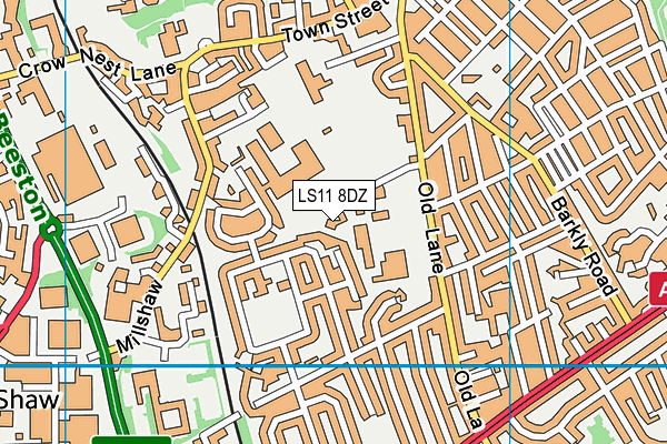 LS11 8DZ map - OS VectorMap District (Ordnance Survey)