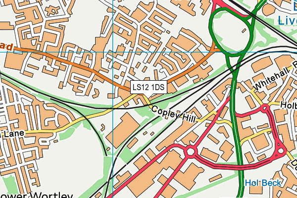 LS12 1DS map - OS VectorMap District (Ordnance Survey)