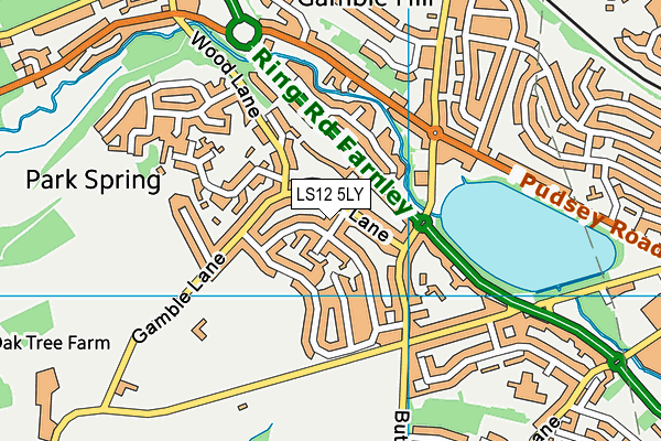 LS12 5LY map - OS VectorMap District (Ordnance Survey)