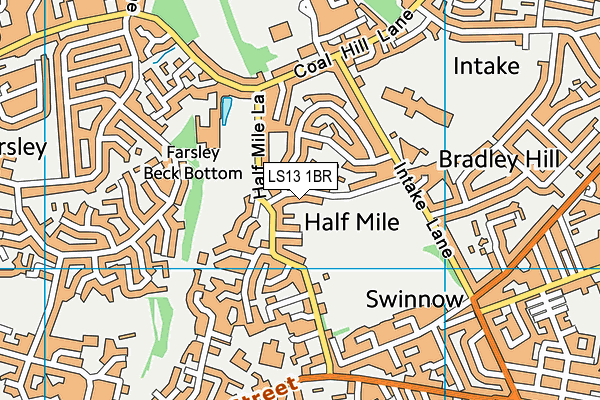 LS13 1BR map - OS VectorMap District (Ordnance Survey)