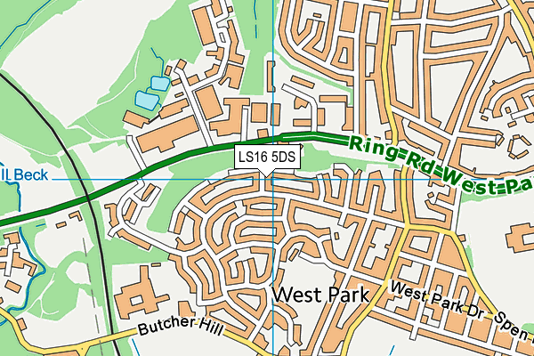 LS16 5DS map - OS VectorMap District (Ordnance Survey)