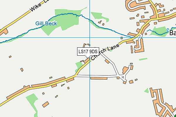 LS17 9DS map - OS VectorMap District (Ordnance Survey)