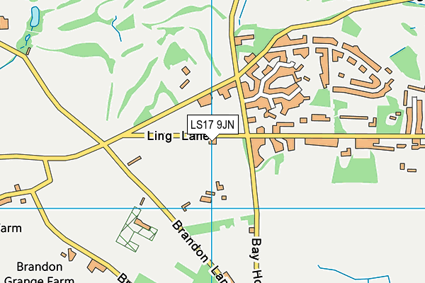 LS17 9JN map - OS VectorMap District (Ordnance Survey)