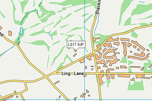 LS17 9JP map - OS VectorMap District (Ordnance Survey)