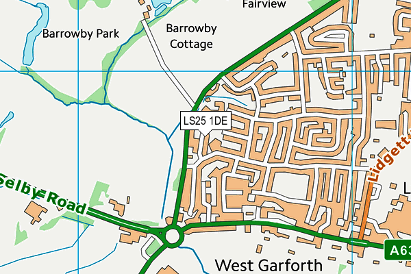 LS25 1DE map - OS VectorMap District (Ordnance Survey)