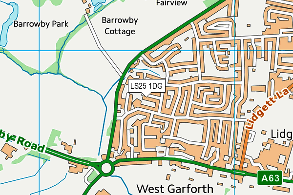 LS25 1DG map - OS VectorMap District (Ordnance Survey)