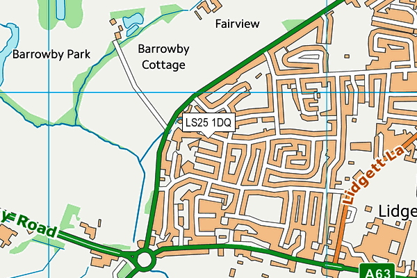 LS25 1DQ map - OS VectorMap District (Ordnance Survey)