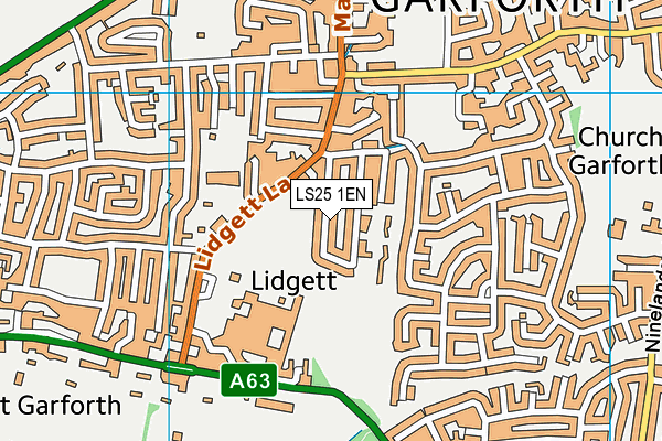 LS25 1EN map - OS VectorMap District (Ordnance Survey)