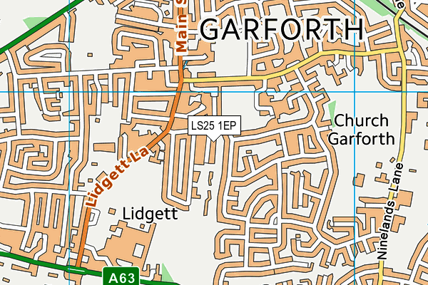 LS25 1EP map - OS VectorMap District (Ordnance Survey)