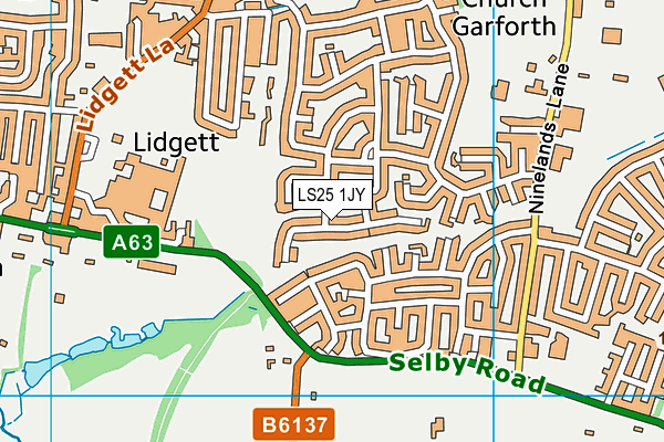 LS25 1JY map - OS VectorMap District (Ordnance Survey)