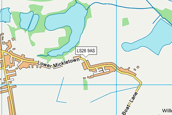 LS26 9AS map - OS VectorMap District (Ordnance Survey)