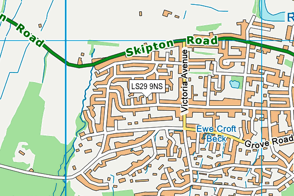 LS29 9NS map - OS VectorMap District (Ordnance Survey)